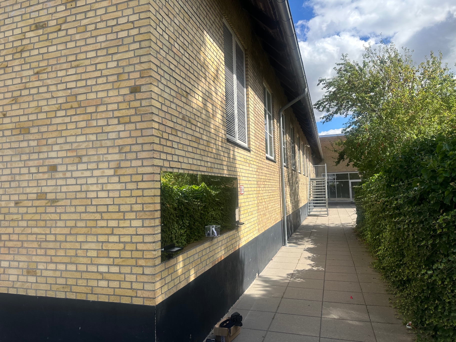 Flere unge på cyklen — Odense — billede 3