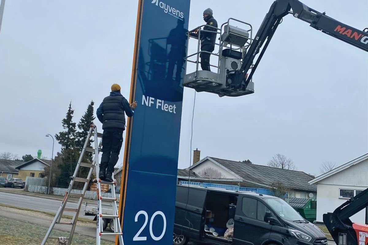 Pylon-renovering